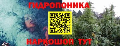 скорость Обь