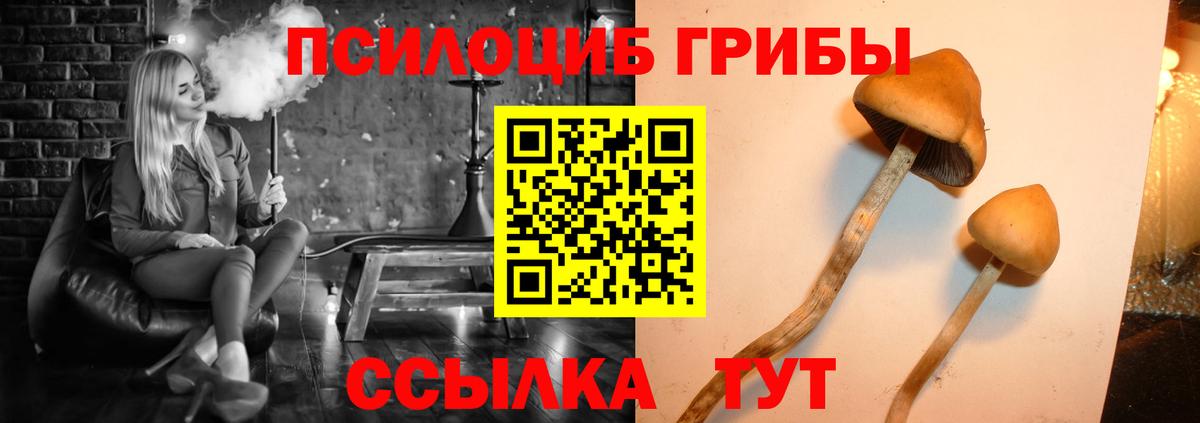 Псилоцибиновые грибы Psilocybe  Вход с VPN  Сатка 